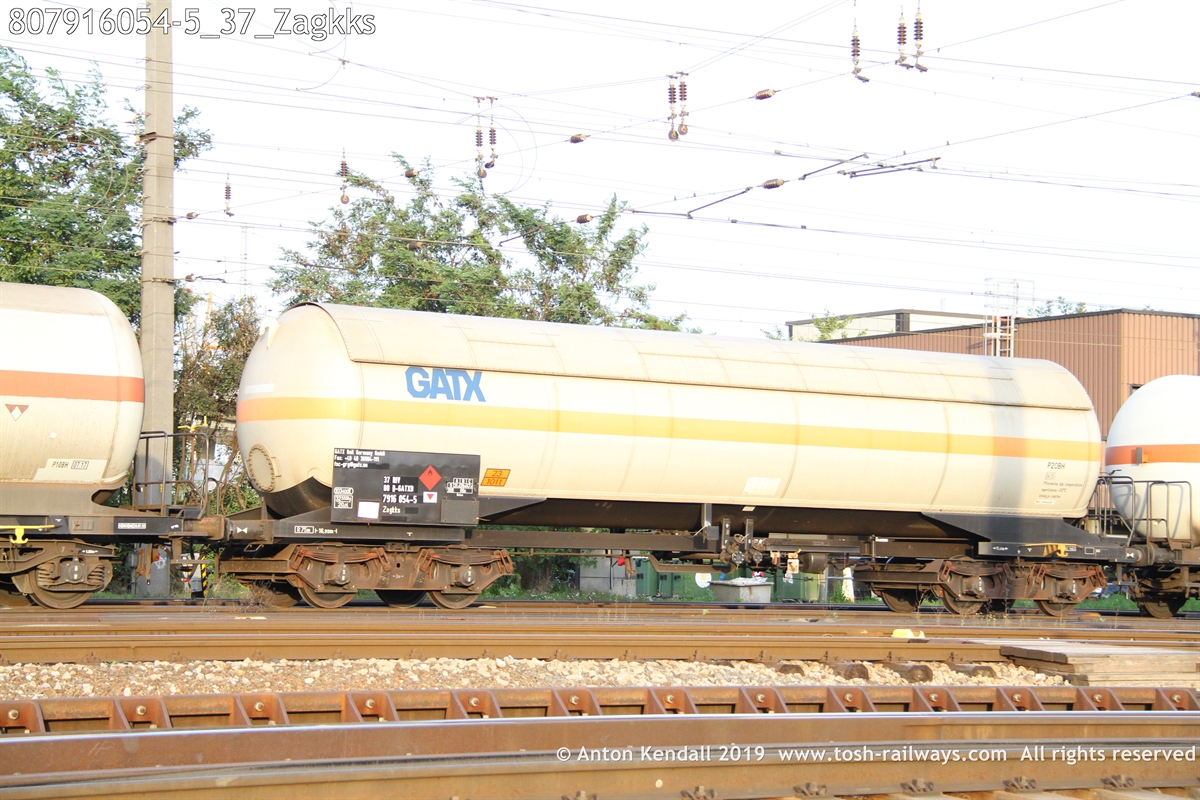 807916054-5_37_Zagkks.JPG